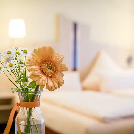 Hotel Heimathenhof 4*