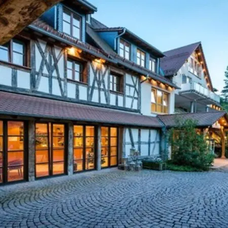 Hotel Heimathenhof 4*