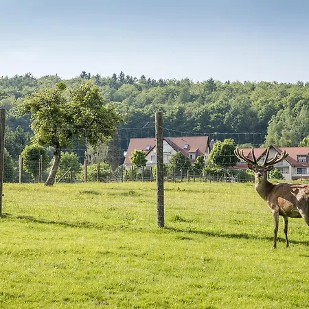 Hotel Heimathenhof 4*
