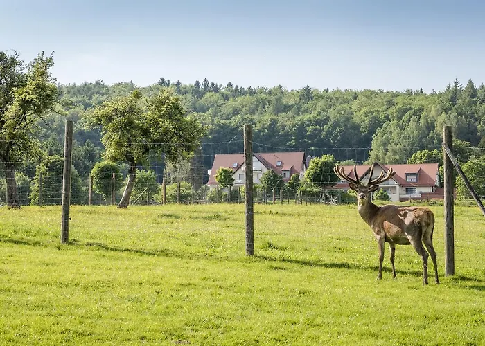Hotel Heimathenhof 4*