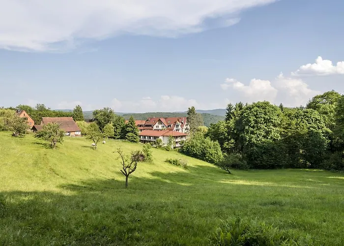 Hotel Heimathenhof Heimbuchenthal